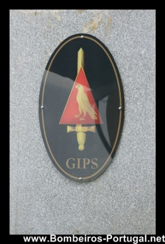 GIPS-CMA VISEU