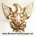 pin